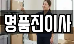명품진이사