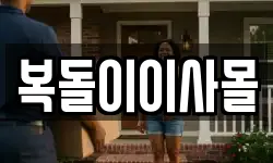 복돌이이사몰
