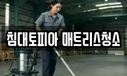 침대토피아 매트리스청소