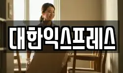 대한익스프레스