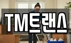 TM트랜스