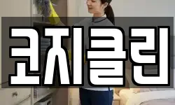 코지클린