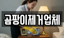 곰팡이제거업체