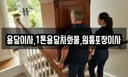 용달이사,1톤용달차화물,원룸포장이사