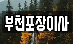 경기 부천시 오정구 내동 이사,용달이사,포장이사,원룸이사,보관이사