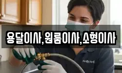 용달이사,원룸이사,소형이사
