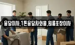 용달이사,1톤용달차화물,원룸포장이사