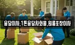 용달이사,1톤용달차화물,원룸포장이사