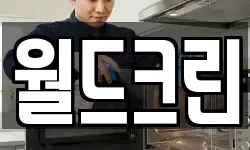 월드크린