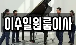 이수일원룸이사