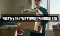 원룸이사용달이사사무실이사1톤용달소형이사화물운반오피스텔