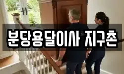분당용달이사 지구촌