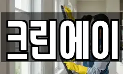 크린에이