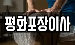 경기 성남시 분당구 대장동 이사,용달이사,포장이사,원룸이사,보관이사