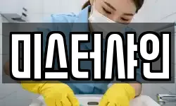 미스터샤인