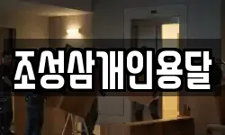 조성삼개인용달