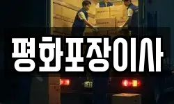 경기 성남시 분당구 석운동 이사,용달이사,포장이사,원룸이사,보관이사