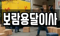 보람용달이사