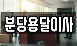 분당용달이사