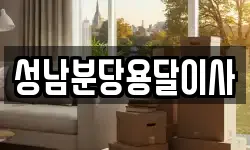 성남분당용달이사