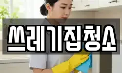 쓰레기집청소