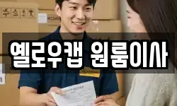 옐로우캡 원룸이사