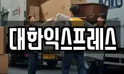 경기 성남시 분당구 율동 이사,용달이사,포장이사,원룸이사,보관이사
