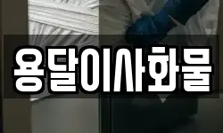 용달이사화물