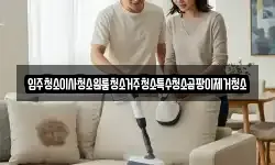 입주청소이사청소원룸청소거주청소특수청소곰팡이제거청소