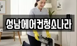 성남에어컨청소나라
