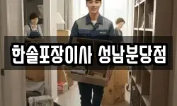 경기 성남시 분당구 판교동 이사,용달이사,포장이사,원룸이사,보관이사