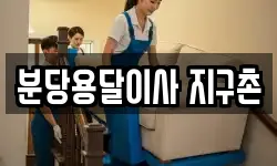 분당용달이사 지구촌