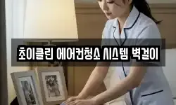 초이클린 에어컨청소 시스템 벽걸이