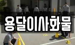 용달이사화물