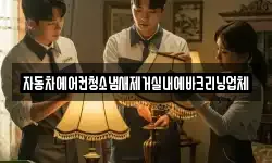 자동차에어컨청소냄새제거실내에바크리닝업체