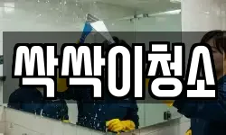 싹싹이청소