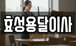 효성용달이사