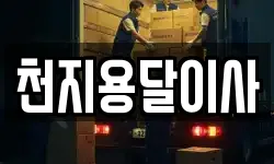 천지용달이사