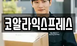 코알라익스프레스