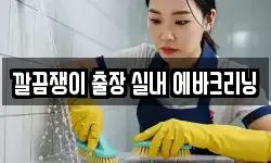 깔끔쟁이 출장 실내 에바크리닝