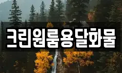 크린원룸용달화물
