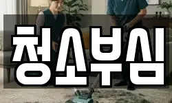 청소부심
