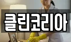 클린코리아