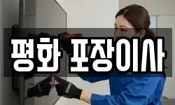 평화 포장이사