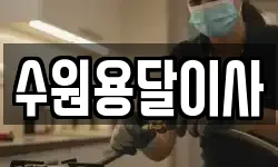 수원용달이사