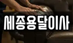 세종용달이사