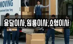 용달이사,원룸이사,소형이사