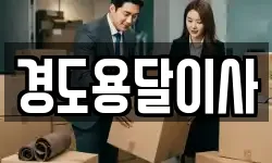 경도용달이사