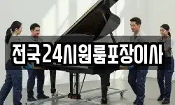 전국24시원룸포장이사