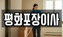 평화포장이사